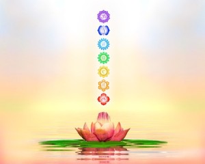 35243755 - sacred lotus and chakras